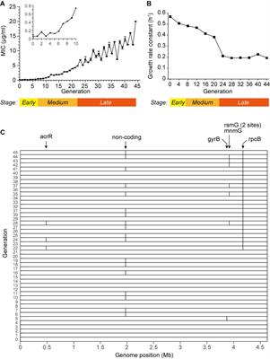 Genome Recombination-Mediated tRNA Up-Regulation Conducts General Antibiotic Resistance of Bacteria at Early Stage